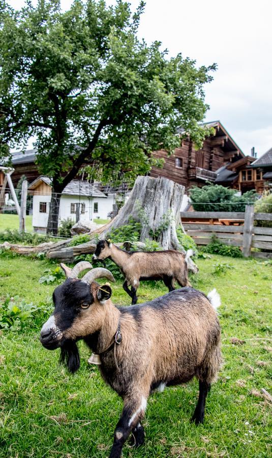 Villa Christernhof à Maria Alm Extérieur photo